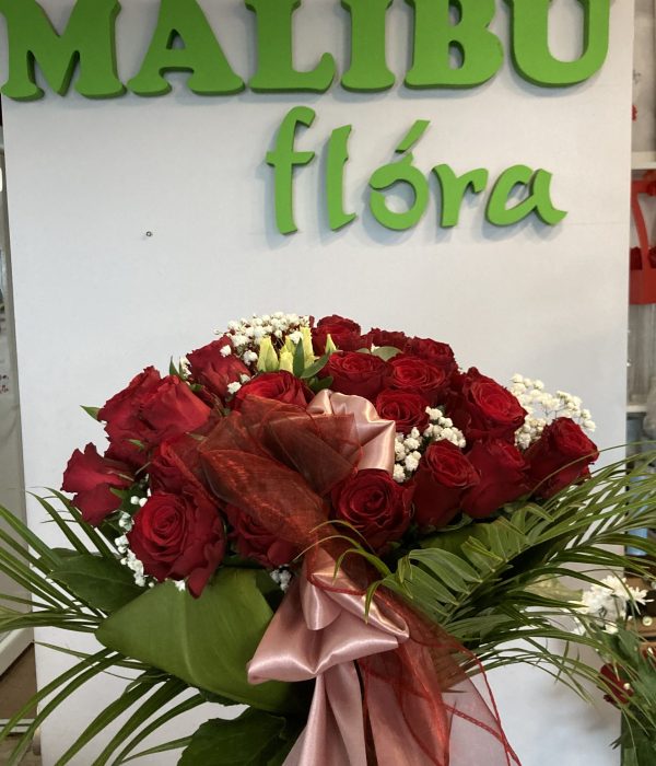 Malibu Marcelova sro